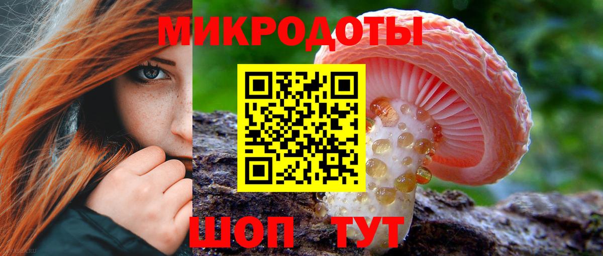 Псилоцибиновые грибы Cubensis Луга