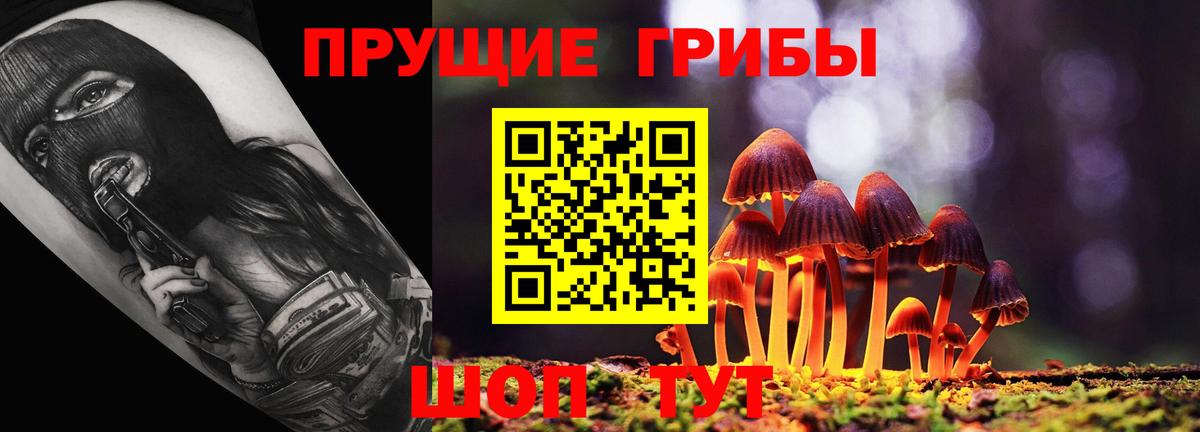 Псилоцибиновые грибы прущие грибы  Галлюциногенные грибы Psilocybine cubensis  Луга  Вход с VPN 
